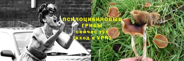 метадон Армянск